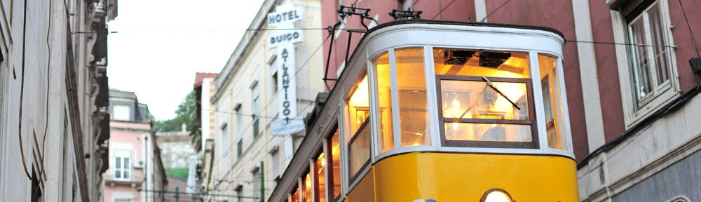 Bachelor Degree Programs